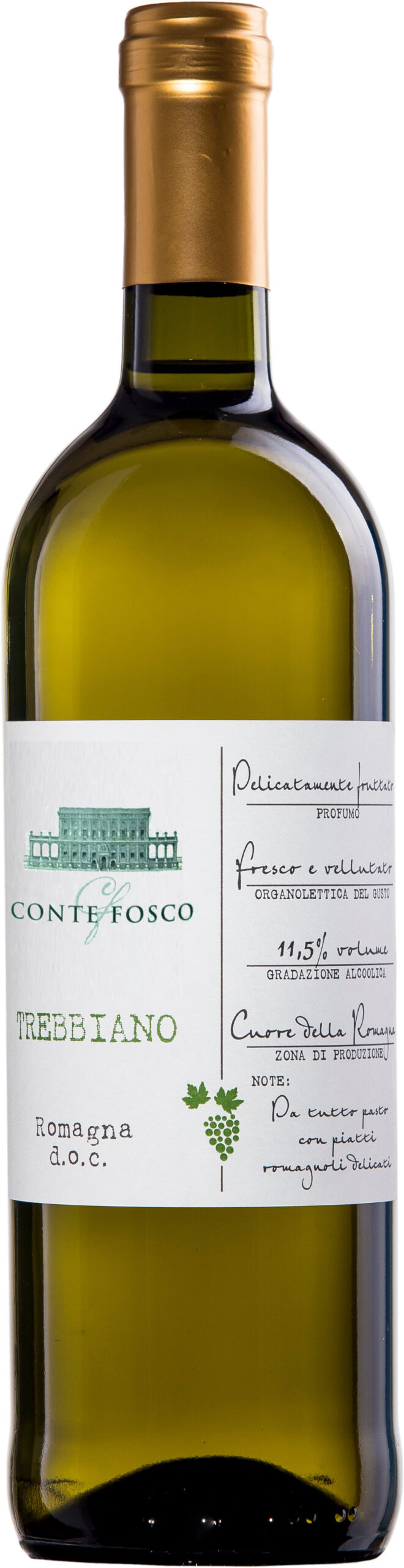 Trebbiano Romagna D.O.C.