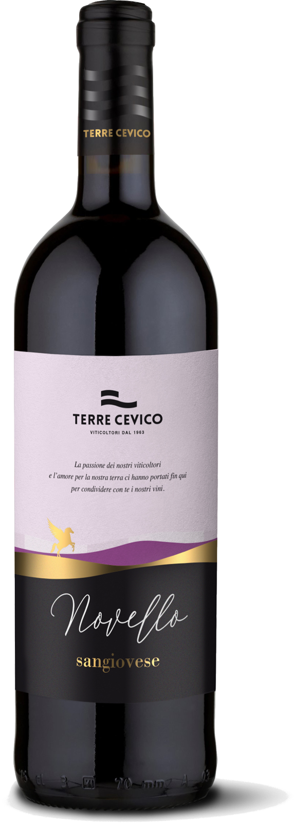 Сладкое вино италия. Вино Terre Cevico. Вино Terre Doro Sangiovese. Терре Чевико Романья. Вино Кагнина Дольче.
