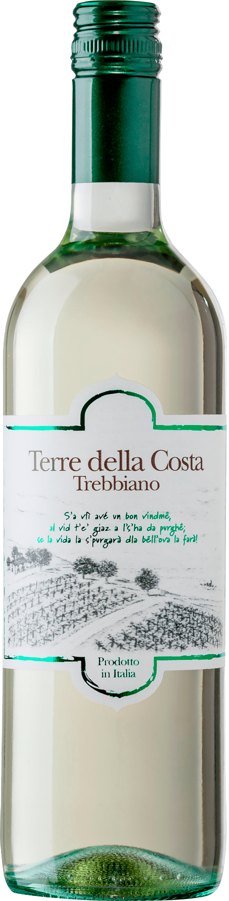 Trebbiano I.G.T. (Stelvin)