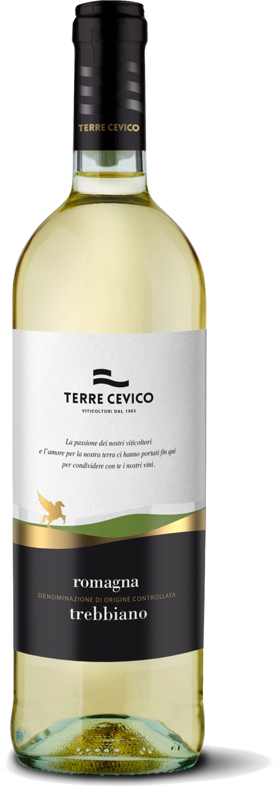 Trebbiano DOC