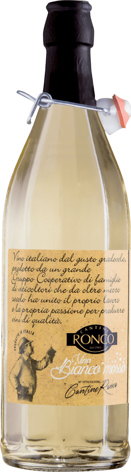 Ronco Bianco Mosso costolata