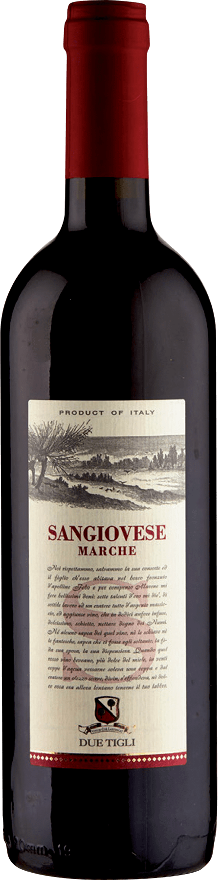 Sangiovese Marche
