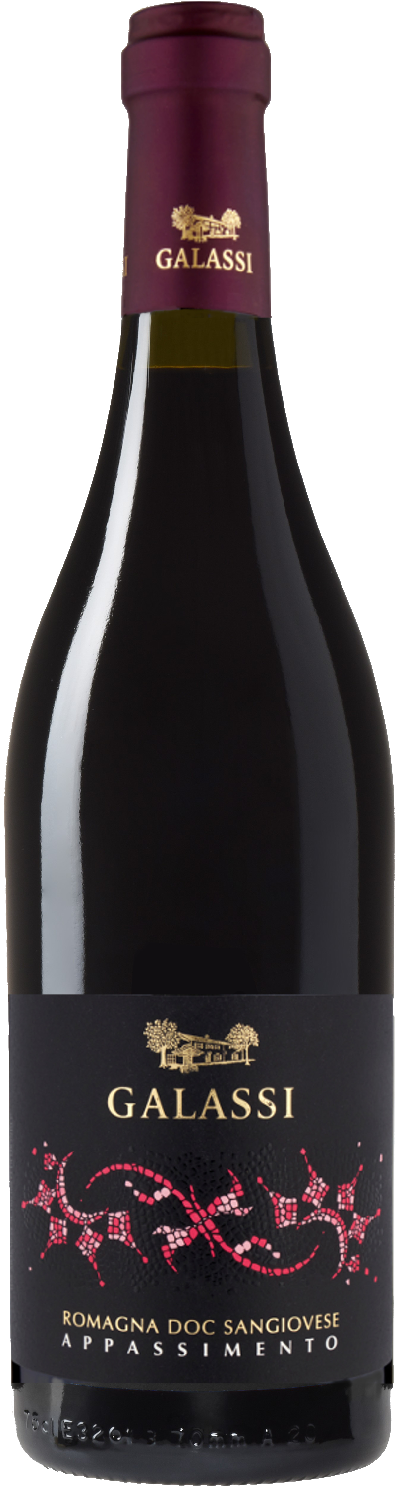 Sangiovese Appassimento Romagna D.O.C.