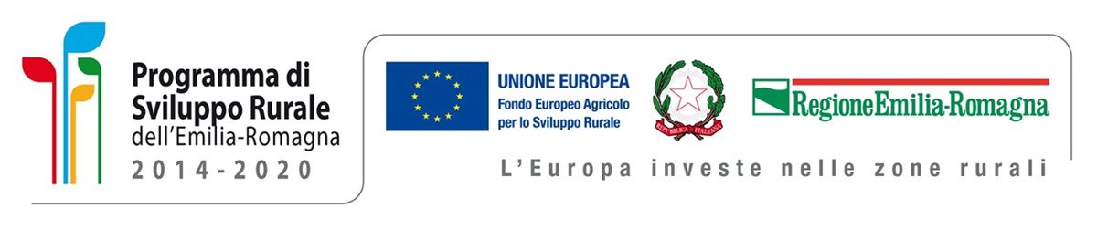 FEASR_emilia-romagna_2014-2020_logo