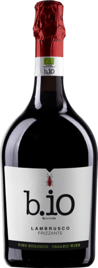 Lambrusco Frizzante Secco I.G.P.