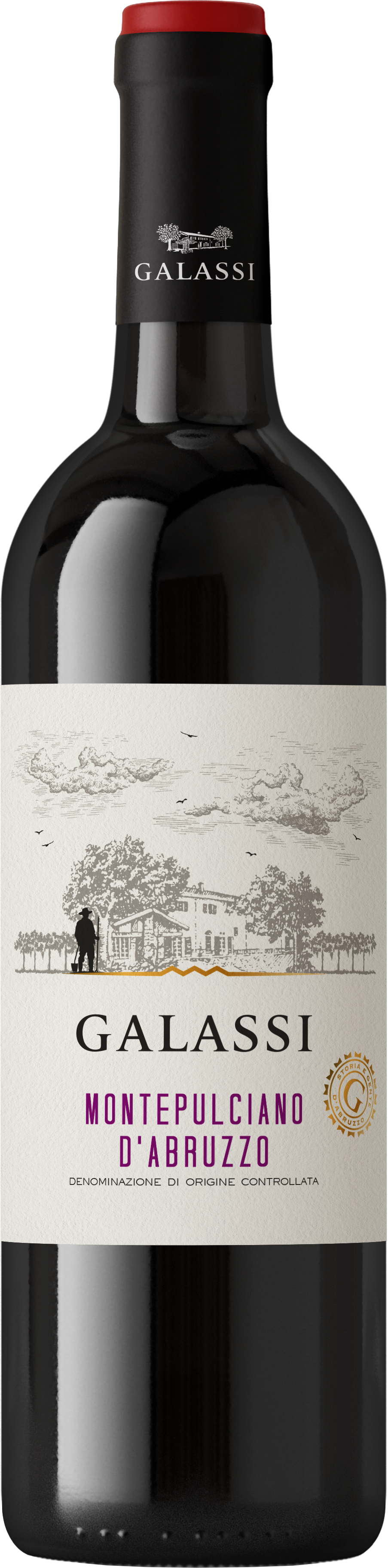 Montepulciano d'Abruzzo D.O.C.