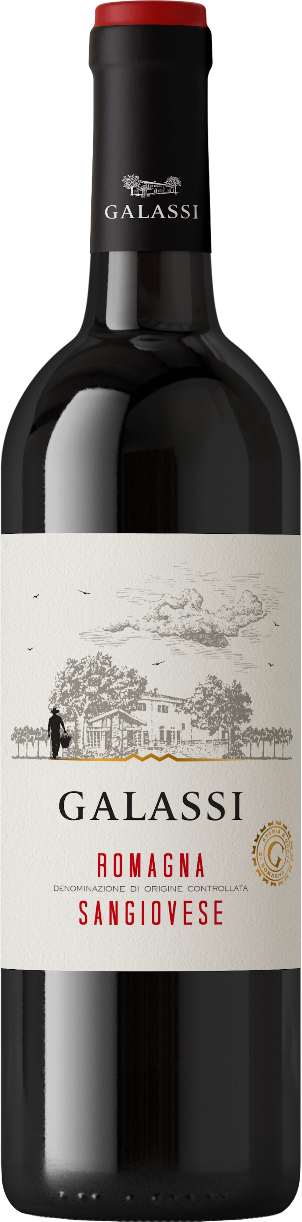 Sangiovese Romagna D.O.C.