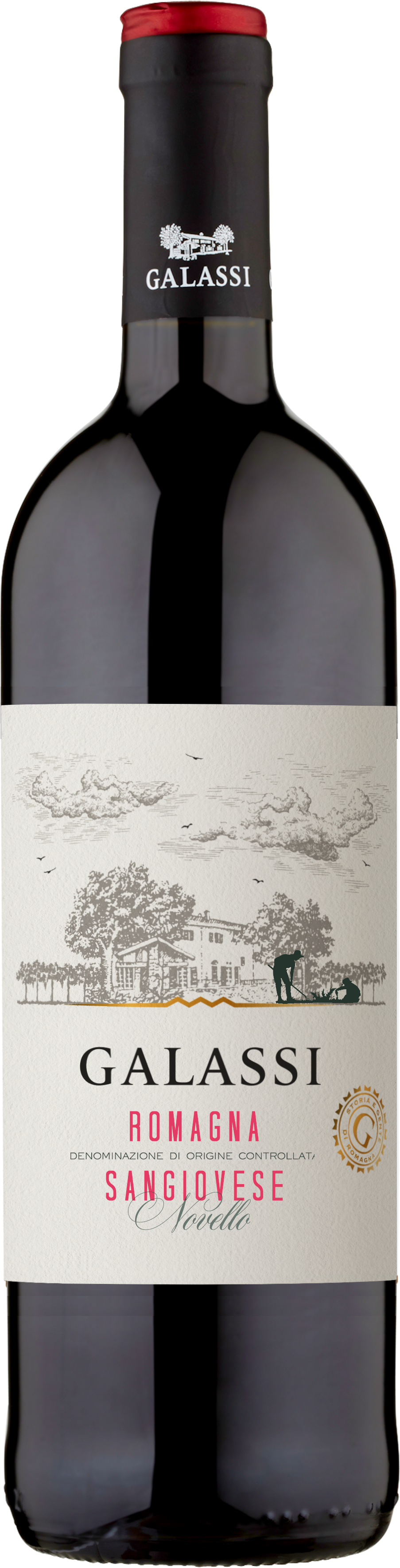 Novello Sangiovese Romagna D.O.C.